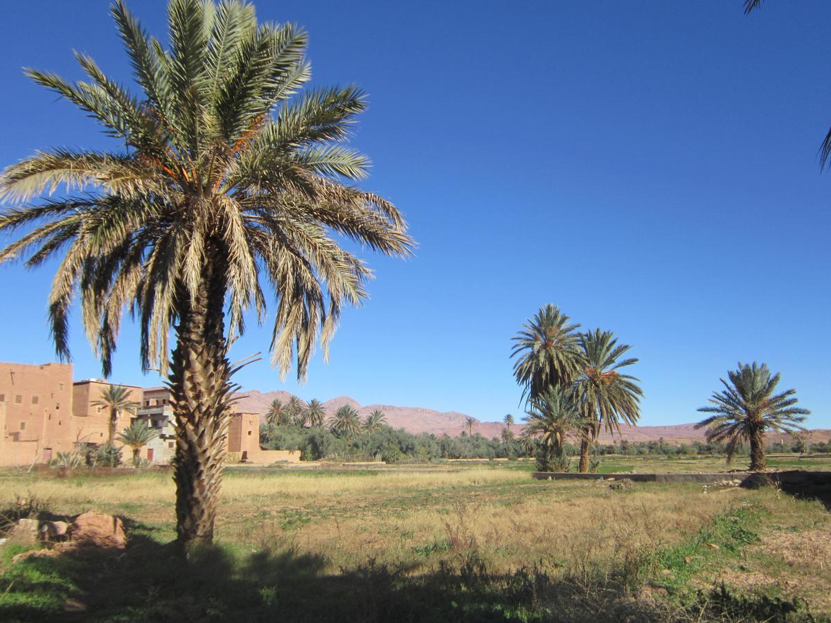 Riad Al Anwar 廷吉尔 外观 照片